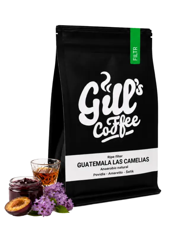 Guatemala Las Camelias