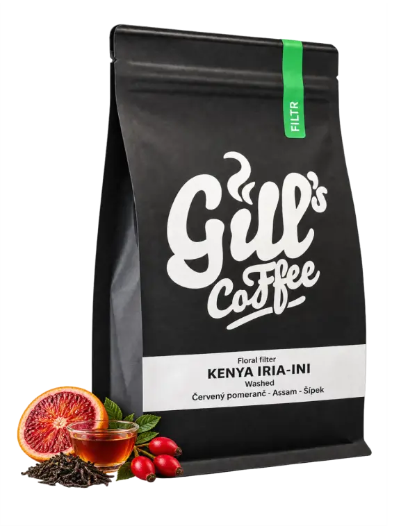 Kenya Iria-Ini